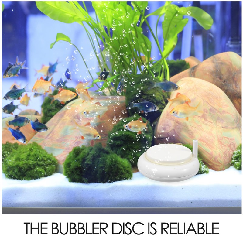 GRIRIW Aquarium Disc for Betta Fish Tank Oxygen Air Stone