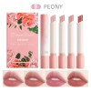 Set De Pintalabios Mate, Bonito Brillo De Labios Antiadheren B