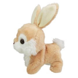 RC Bunny Roppy