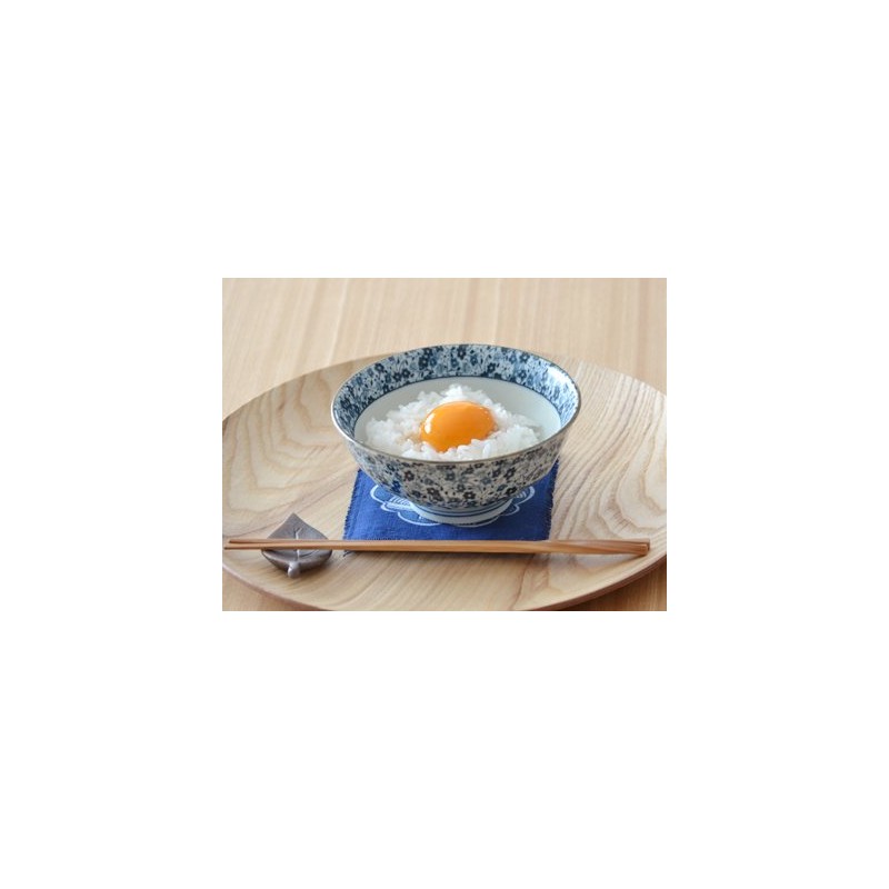 Tableware East Chazuke Rice Bowl, 12.6 fl oz (370 cc),