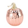 Pumpkin Wine Glass Pumpkin Shaped Stainless Steel Rose Gold Wine