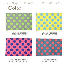 fabrizm 1151setzgygr Children's Placemats, Made in Japan, Set of 4, 11.8 x 7.9 inches (30 x 20 cm) with Namae Tag, Marble Dots, Gray x Lime Green