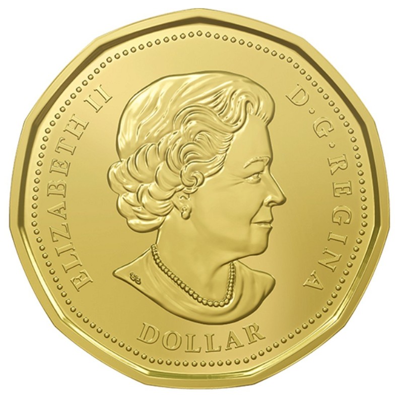 2016 Lucky Loonie, uncirculated coin from mint roll