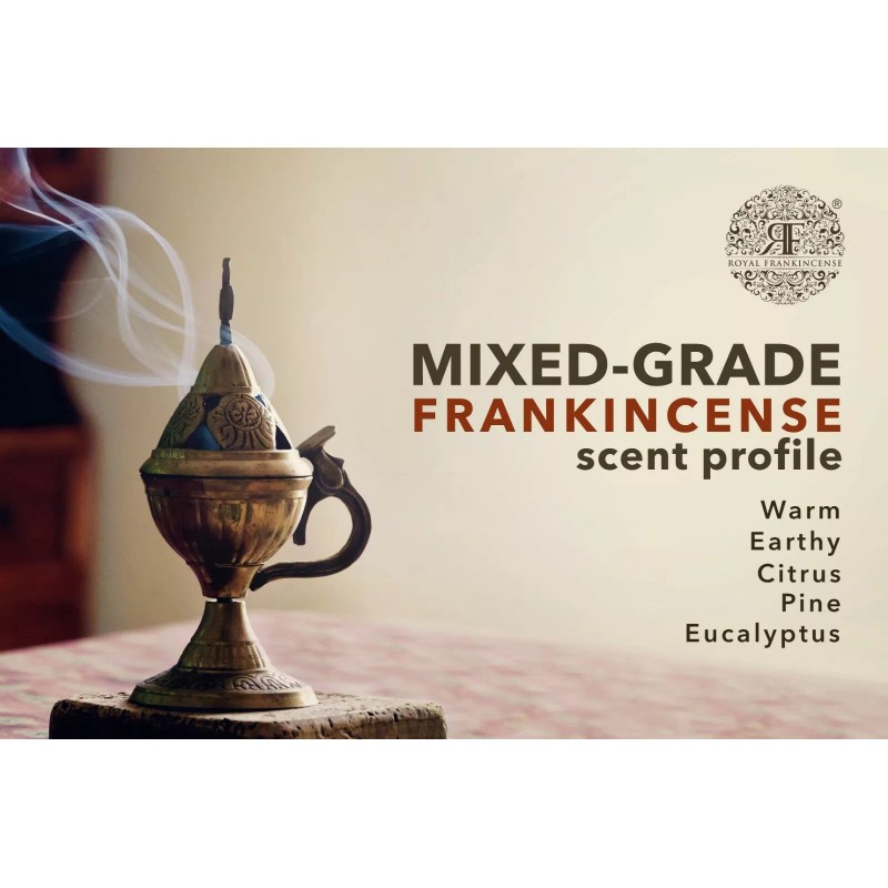 Royal Frankincense Organic Hojari Frankincense Oman (Bos. Sacra) (1/2 lb)