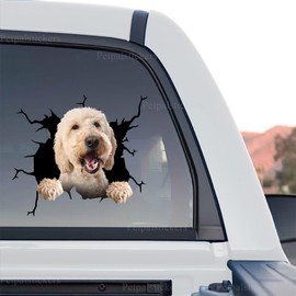 Petpalstickers Cute Dog Stickers for Car Window Decals Waterproof Funny Sticker (Goldendoodle Car Sticker)