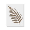 Ferns Stencil Template for Walls and Crafts - Reusable Stencils