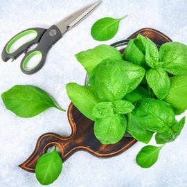 Nirosta Super Scissor Praktika with Opener 23cm, Stainless Steel Grey/Green, 23 x 7.5 x 1.1 cm