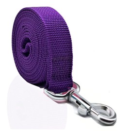 Nylon Dog Leash 10 Feet Long, Walking Training Dog Leashes for Medium Large Dogs, 1 Inch Wide (Purple)