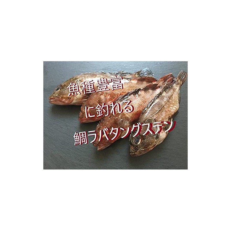 Heartland-k.k Tylava Tungsten Rainbow 45g 3pcs-80g 2pcs