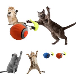 ZYKORNIUM Interactive Cat Toy Ball, Chasing Ball for Indoor Cats & Kittens, Feather Tail, Self-Moving Cat Toy, Fast & Slow Speed (Orange)