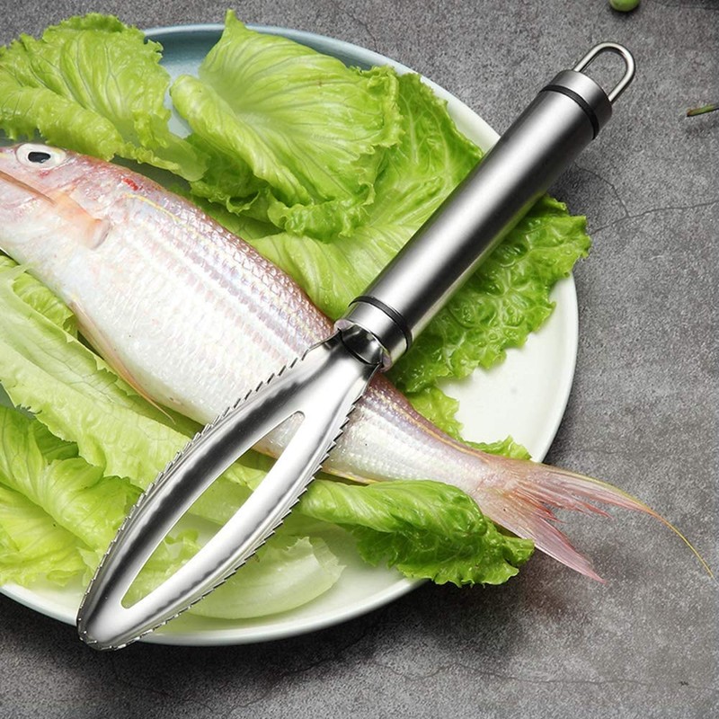 GZLCEU Fish Scaler 304 Stainless Steel Fish Scale Remover, Professional