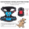 PoyPet No Pull Dog Harness, Front Reflective Pet Vest for