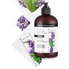 ApotheCARE Essentials The Colorist Shampoo, Lavender, Moroccan Mint, Cactus Milk,