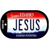 Smart Blonde Jesus Idaho Novelty Metal Dog Tag Necklace DT-9885