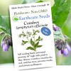Earthcare Seeds True Comfrey 50 Seeds (Symphytum officinale) Non GMO,