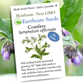 Earthcare Seeds True Comfrey 50 Seeds (Symphytum officinale) Non GMO, Heirloom Brown