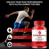 Alpha Gummy Pro (5 Pack) Alpha Gummy Pro Gummies for