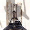 FTWDesign Small Sailor Knot Wall Hook - Maritime Decoration Made