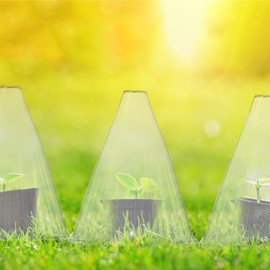 Relaxdays Plant Cover, 24x Set, Hat, Protection, Frost Prevention, Growth Aid, HxWxD: 22 x 19 x 19 cm, PVC, Transparent