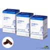 Chong Kun Dang Health Propolis Plus 60 capsules x 3