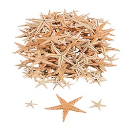 Fun Express Mini Natural Sugar Starfish - Ideal for Kids' Crafts, Party Decorations, Beach-Themed Events, and Fun Home Activities - 500 Pieces