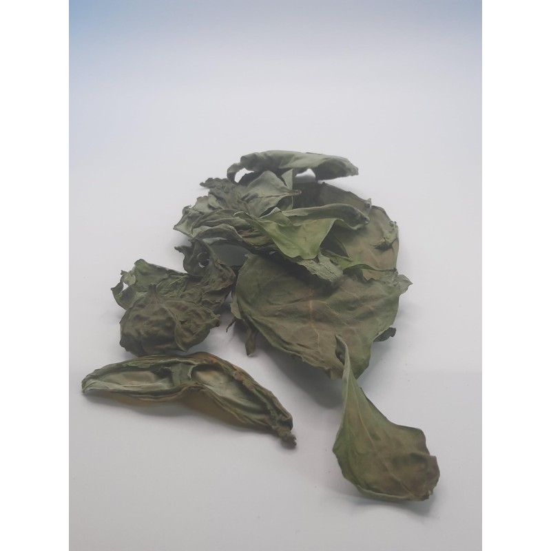 Tea Kit Gift Set of 3 Herbs