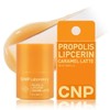 CNP Tea & Park Propolis Lip Serin - Caramel Latte x 15ml x 1 Caramel Latte x 15ml x 1 / CNP차앤박 프로폴리스 립세린 - 카라멜라떼 x 15ml x 1개 카라멜라떼 x 15ml x 1개