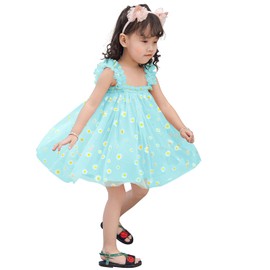 AGQT - Vestido de tutú de margaritas para bebé, fiesta de cumpleaños, vestido de tul, talla 9M-4T, 7173ja# Sky Blue Daisy-Lace, 2-3T