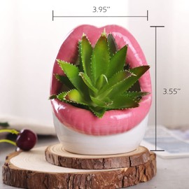 WHJY Sexy Lips Planter Pot, Ceramic Succulent Planter - Pink