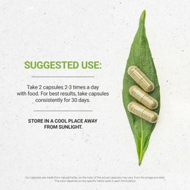 Secrets of the Tribe Burdock 60 Capsules, 1000 mg, Burdock (Arctium Lappa) Dried Root (60 Capsules)