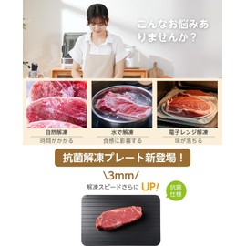 Hidemasa Defrost Plate, Cutting Board, Rapid Thawing, Aluminum, Natural Thawing, Aluminum Plate, Meat, Defrost Plate, Commercial Use, Home Use, Defrost Dish, Rapid, 9.1 x 6.5 inches (23 x 16.5 cm