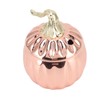 Pumpkin Wine Glass Pumpkin Shaped Stainless Steel Rose Gold Wine