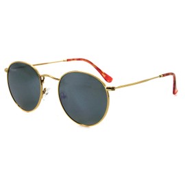 Classic Round Lens Metal Retro Sunglasses RFT7001 (Gold Frame Silver Flash Lens) (Gold, Silver)