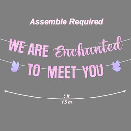 We are Enchanted to Meet You Banner, Pastel Pink Welcom Party Banner for It's a Girl Baby Shower Party Decoration