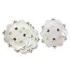 Embroidered Shamrock Doilies Pack of 4 Scallop Edge Leaf Design