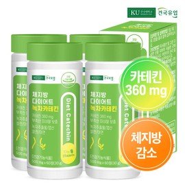(현대Hmall)건국 체지방 다이어트 녹차카테킨 60정x4개(4개월) (Hyundai Hmall) Gunghuk Body Fat Diet Green Tea Catechin 60 tablets x 4 packs (4 months)