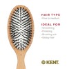 Kent V01 Vegan Boar Bristle Hair Brush with Nylon Pins,