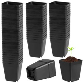 HOIGON - Juego de 100 macetas cuadradas negras de 3 pulgadas, macetas de plástico gruesas duraderas con agujeros de drenaje, pequeños recipientes cuadrados para plantar flores y tomates albahaca
