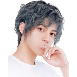 TefuRe Men's Wigs J-hair Member Men's Wig, Men's Wig, Wig, Men's Short Wig, Spiral, Perm, Curl, Fluffy, Heat Resistant, Full Wig, Wig, Men's Dressing, Korean, Frosted Fiber, Natural Wig Net Included,