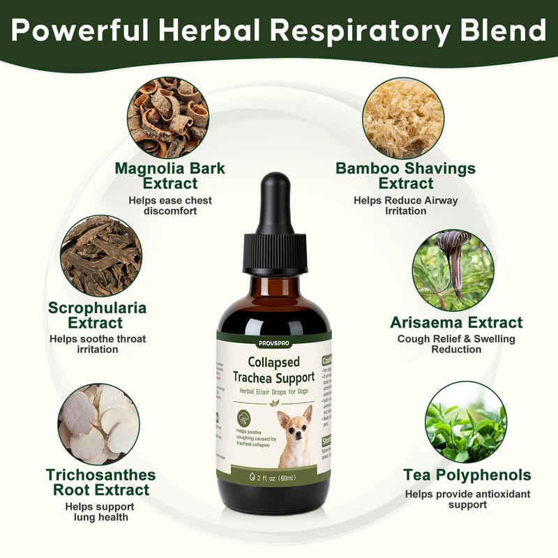 Trachea Cough Elixir, Collapsed Trachea Support for Dogs, Tracheal &
