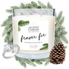 Jackpot Candles Fraser Fir Candle with Ring Inside (Surprise Jewelry