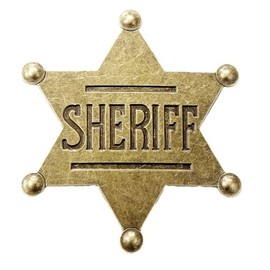Sheriff Badge Gold Star Pin Cowboy Western Police America USA Deputy Metal Shiny Fancy Dress Up Costume