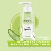 Pond's Gel Limpiador Facial Fruity Hydra Fresh con Aloe |