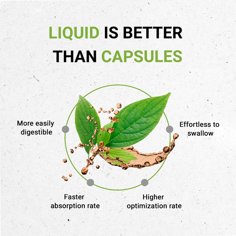 Stevia Alcohol Liquid Extract, Stevia (Rebaudiana) Dried Leaf (4 FL