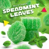 Spearmint Leaves Jelly Candy, Refreshing Slices (2 Pound Bag)