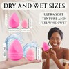 2 Orchids Makeup Sponge Set - Mini Beauty Blender Sponge