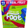 Fruit By the Foot Variety Pack Berry Strawberry Raspberry 48
