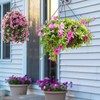 Swivel Hanging Basket Chains 23 Inches 4 Leads Hanging Chains