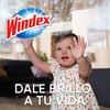 Windex (WIOVL) Crystal Rain, Sin Amoníaco, Atomizador 640 mL