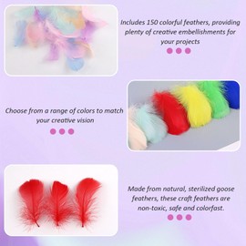 Debbery 150PCS Feathers for Crafts, 5-8cm Colorful Feathers in Bulk, Suitable for DIY Dream Catcher, Box Filling Decoration, Wedding, Home, Party Decoration